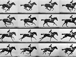 http://i.idnes.cz/06/103/sph/DNO16a59e_Muybridge_race_horse_gallop.jpg