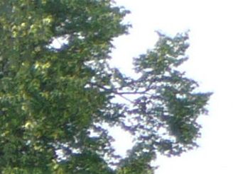 barevná vada