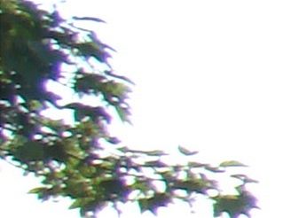 barevná vada 9,1 mm