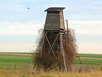 Obrázek
