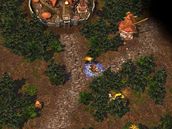Heroes of Might and Magic 5: Tribes of the East (PC)