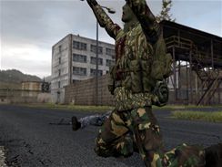 ArmA 2 (PC)