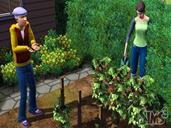 The Sims 3 (PC) The Sims 3 (PC)