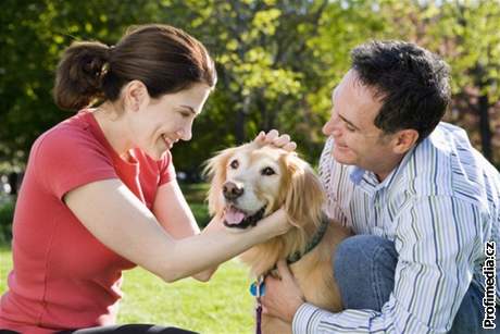 Pes má vliv například na lidský imunitní systém, alergie, nebo náchylnost k astmatu.