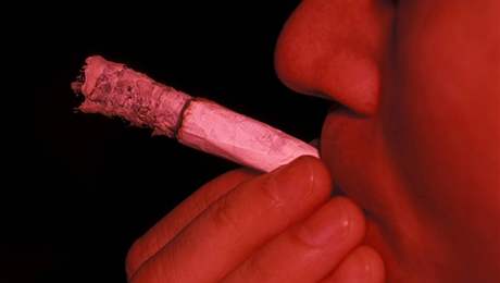 Tkáň je při kouření marihuany vystavena vlivu kouře více než při kouření tabáku.