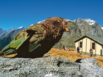 Nový Zéland, Milford Track