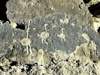 Česká expedice do Západní pouště a Jeskyně plavců