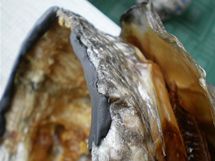 Plastelínou lze dorovnat i nerovnosti kůže Plastelínou lze dorovnat i nerovnosti kůže