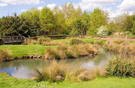 London Wetland Centre. Malé vodní hladiny jsou rájem nejen pro vodní ptactvo, ale také pro obojživelníky. Jako nenápadné ohrady tu působí nízké kamenné zídky. London Wetland Centre. Malé vodní hladiny jsou rájem nejen pro vodní ptactvo, ale také pro obojživelníky. Jako nenápadné ohrady tu působí nízké kamenné zídky.