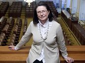 Externí obrázek