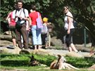 V novém výběhu si mohou lidé prohlédnout klokany opravdu velmi zblízka, neoddělují je totiž žádné ploty či mříže. V novém výběhu si mohou lidé prohlédnout klokany opravdu velmi zblízka, neoddělují je totiž žádné ploty či mříže.