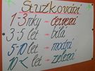 Jednou za dva roky se v psychiatrické léčebně Červený Dvůr na Českokrumlovsku scházejí bývalí klienti, kteří se tu léčili ze závislostí. Každý z účastníků srazu dostává mašličku, barva určuje, jak dlouho už abstinuje. Jednou za dva roky se v psychiatrické léčebně Červený Dvůr na Českokrumlovsku scházejí bývalí klienti, kteří se tu léčili ze závislostí. Každý z účastníků srazu dostává mašličku, barva určuje, jak dlouho už abstinuje.