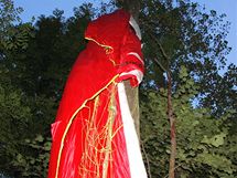 Obrázek