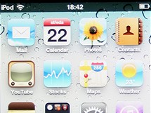 iPod Touch displej iPod Touch displej