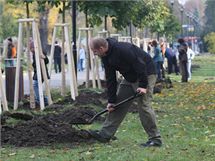 Necelá stovka dobrovolníků, především partnerských dvojic a rodičů s dětmi, zasadila v olomouckých Smetanových sadech další část obnovované Rudolfovy aleje. Necelá stovka dobrovolníků, především partnerských dvojic a rodičů s dětmi, zasadila v olomouckých Smetanových sadech další část obnovované Rudolfovy aleje.