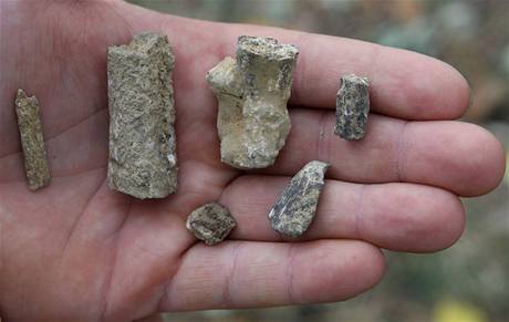 Úlomky zvířecích kostí nalezené na unikátním archeologickém nalezišti v Přerově-Předmostí, které jsou staré asi 26 tisíc let. Úlomky zvířecích kostí nalezené na unikátním archeologickém nalezišti v Přerově-Předmostí, které jsou staré asi 26 tisíc let.