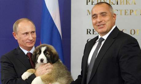 Ruský premiér Vladimir Putin hýčká štěně, které dostal os svého bulharského kolegy Bojka Borisova (13. listopadu 2010) Ruský premiér Vladimir Putin hýčká štěně, které dostal os svého bulharského kolegy Bojka Borisova (13. listopadu 2010)