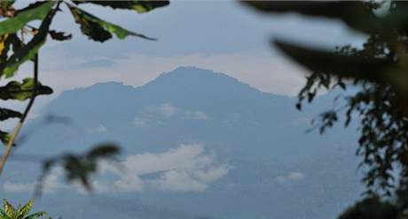 Les ve Fossimondi, Kamerun.