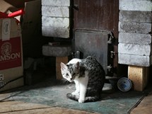 Farmář Vojtěch Veselý žije se svojí přítelkyní Lenkou v jurtě, kterou si postavili na pozemku v sousedství svého hospodářství na okraji obce Valeč Farmář Vojtěch Veselý žije se svojí přítelkyní Lenkou v jurtě, kterou si postavili na pozemku v sousedství svého hospodářství na okraji obce Valeč