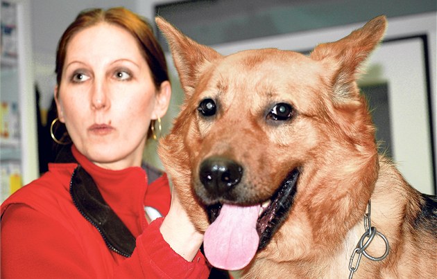 Zvěrolékařka Zuzana Maňková se psem Burtonem. Příští týden už bude Burton moci