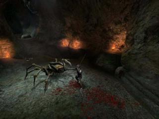 The Witcher