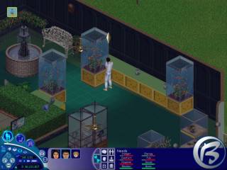 The Sims: Unleashed