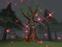 Everquest: nová zóna Jaggedpine Forest
