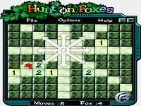Hunt on Foxes