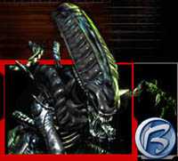 Aliens vs. Predator