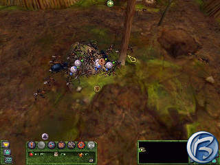 Empire of Ants