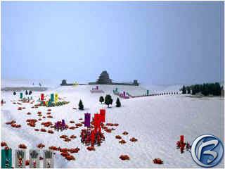 Shogun: Total War