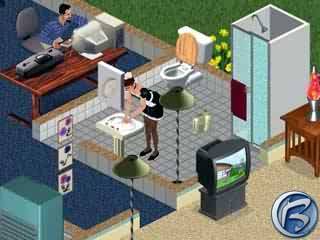 The Sims
