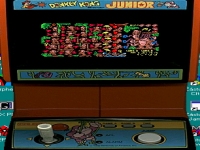 Donkey Kong Jr