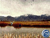 Duck Hunter