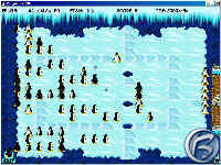 Penguins 2000