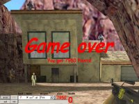 Little Counter Strike