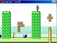 Mario Country