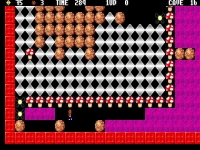 Rock Rush