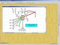 GenoPro 2007 - větší obrázek z programu