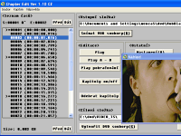 ChapterEdit - větší obrázek z programu