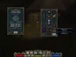 Divine Divinity - větší obrázek ze hry