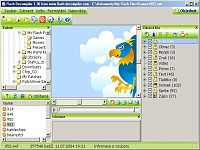 Flash Decompiler - větší obrázek z programu