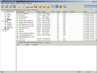 Free Download Manager - větší obrázek z programu