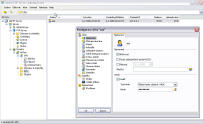 Gene6 FTP Server - větší obrázek z programu