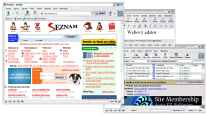 Mozilla - větší obrázek z programu