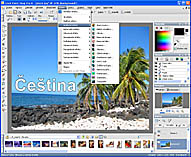 Paint Shop Pro X - větší obrázek z programu