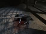 Penumbra: Black Plague - větší obrázek ze hry