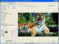 PhotoCleaner - větší obrázek z programu