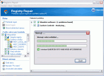 Registry Repair - větší obrázek z programu