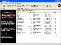 Restorator 2004 - větší obrázek z programu